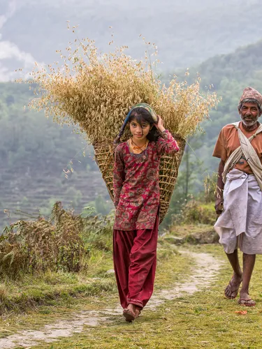 An older man and young woman walk along a path
