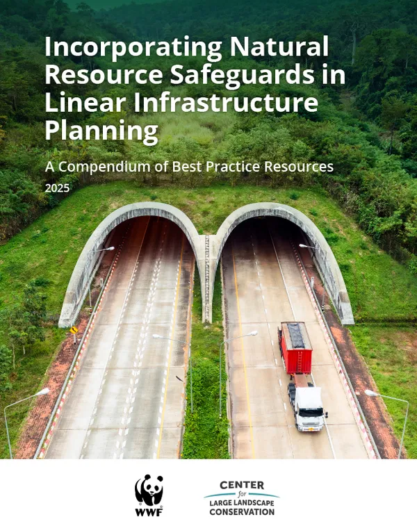 Report cover