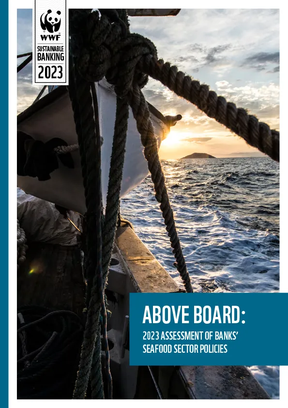 Above Board cover