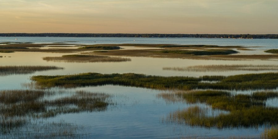 Landscape of wetland
