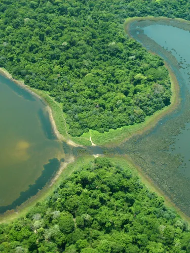 An aerial photo with green forested areas intersected by two green watrways connected at the center.