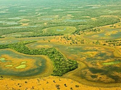 Aerial view of Pantanal in Brazil.