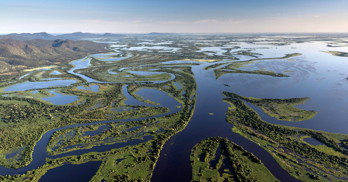 Restoring River Connectivity to Protect Biodiversity | WWF