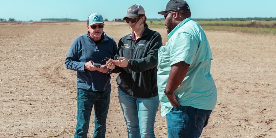 Three people together examining a plant