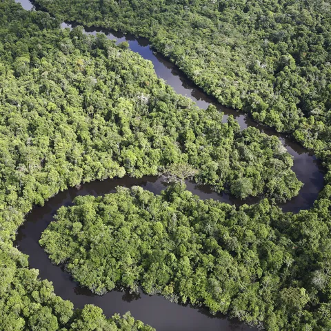 Amazon river