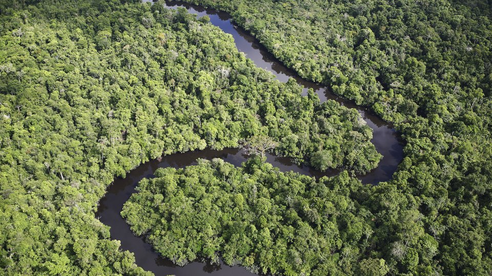 An aerial view of the Amazon River cutting through a dense green forest in a snake shape