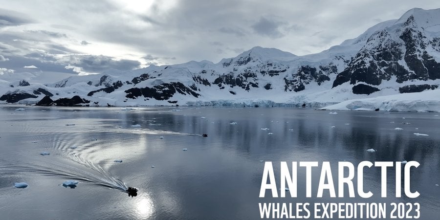 A small boat sails on placid water in front of a massive wall of glaciers and mountains. White text that reads 'Antarctic Wales Expedition 2023' is in the bottom right corner.