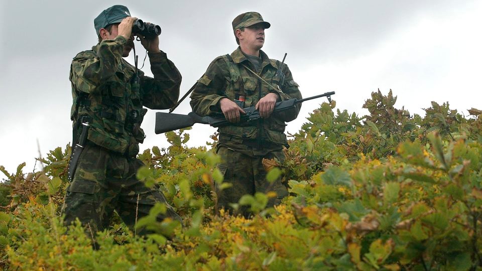 Two men wearing camouflage gear and carrying weapons in a green field of shrubs.