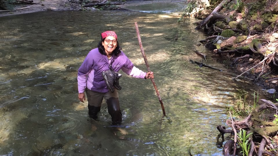 A woman wades through a stream