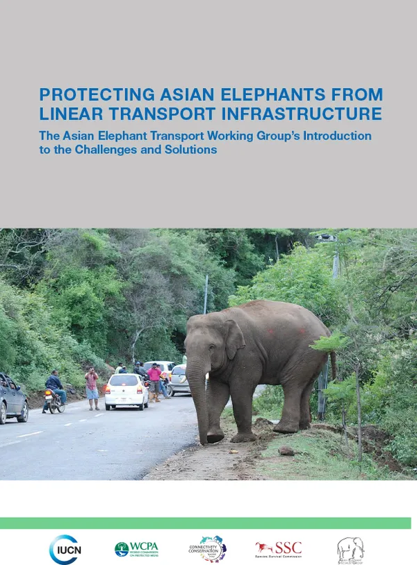 Report cover showing elephant crossing busy road