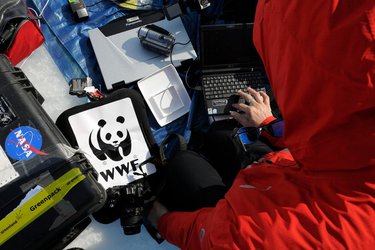 Person with computer and research equipment