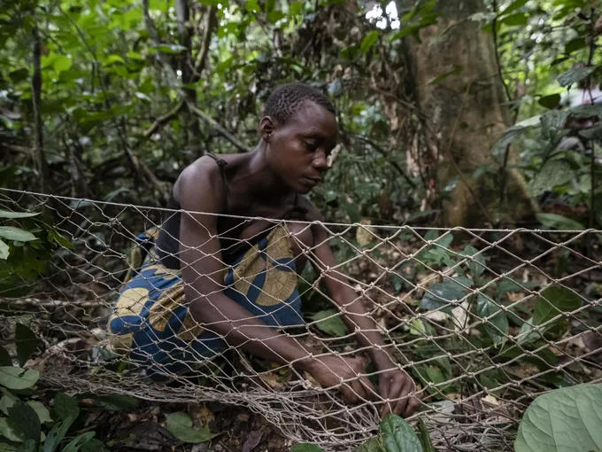 Guemou, part of a group of BaAka people living around the Dzanga-Sangha Special Reserve, prepares a hunting net