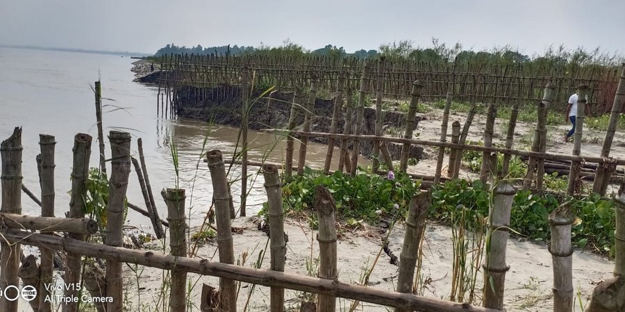 Bamboo bundling sits on a green riverbank in Bangladesh