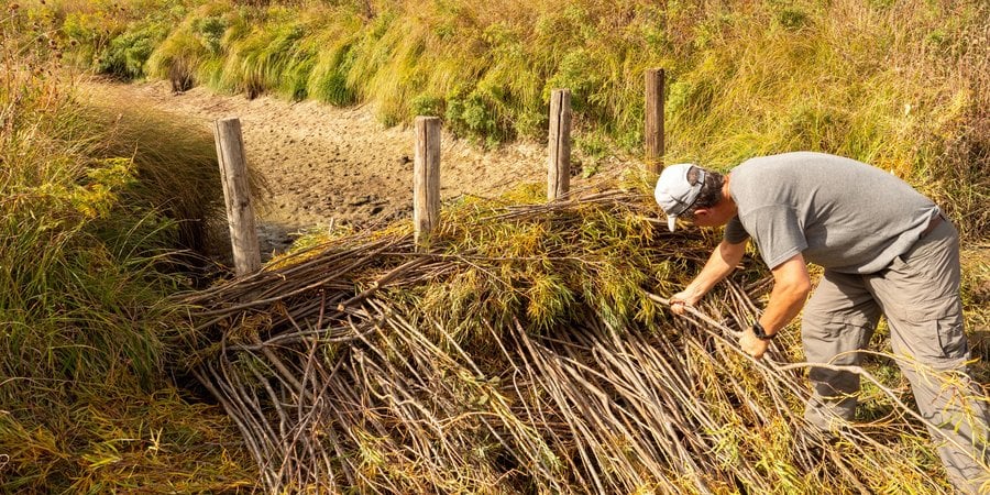Farmer bending over, pulling and piling plants
