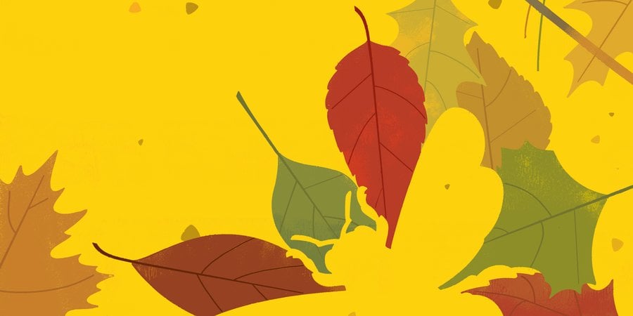 Illustration of a bee outlined by autumn leaves