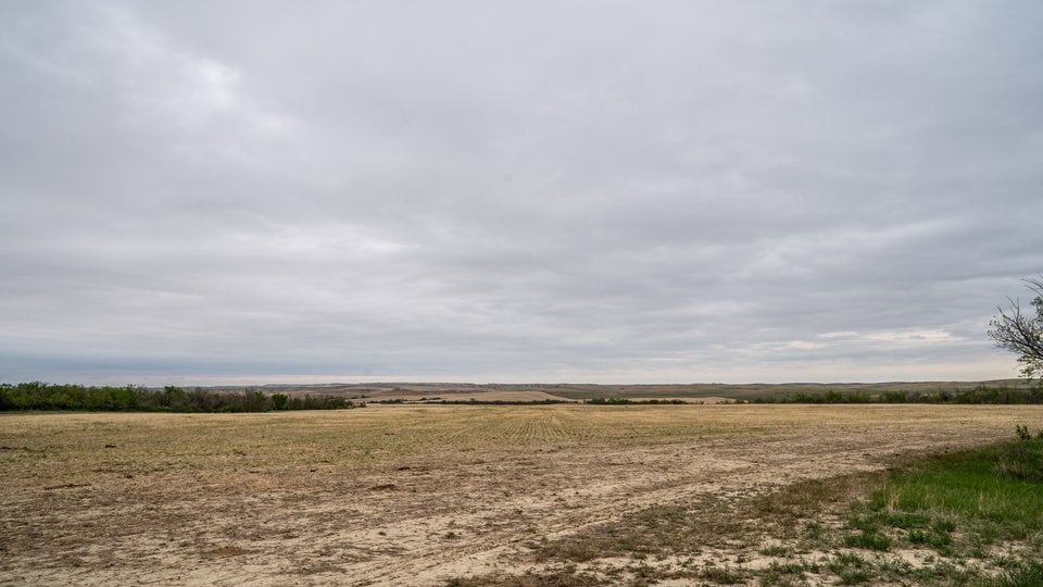 A desolate brown field with a gray sky.