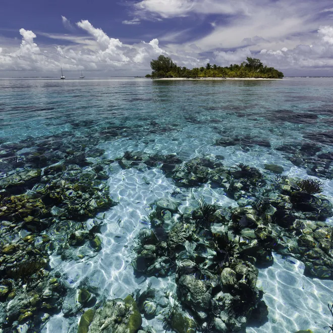 Reefs shown underwater with a small body of land and clouds in the background.