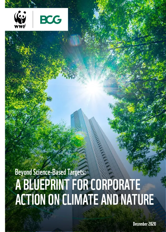 Report cover