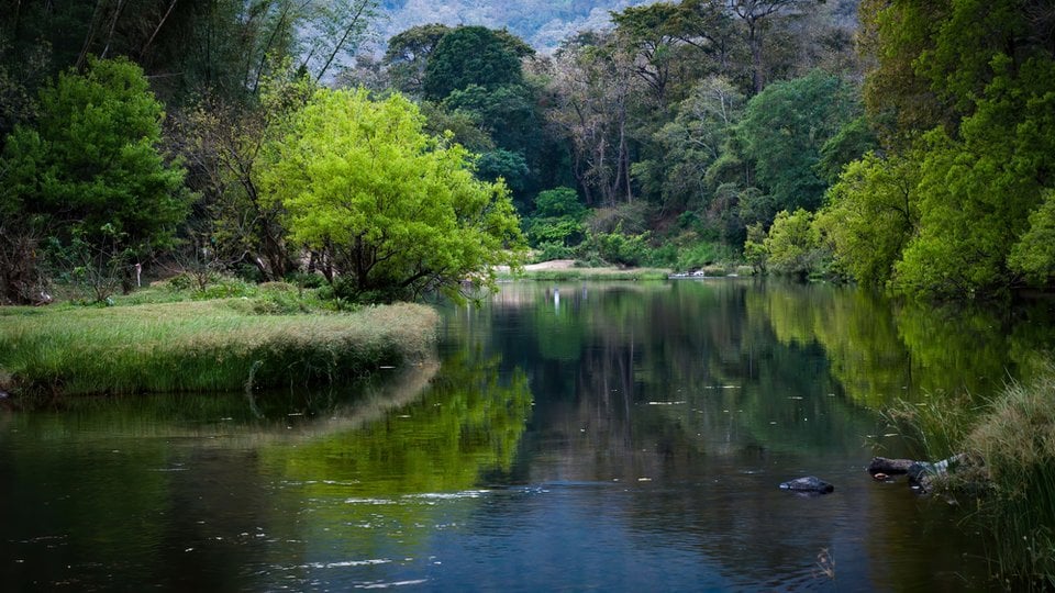 A river in the foreground with lush trees aligning the river banks and a dark forest in the background.