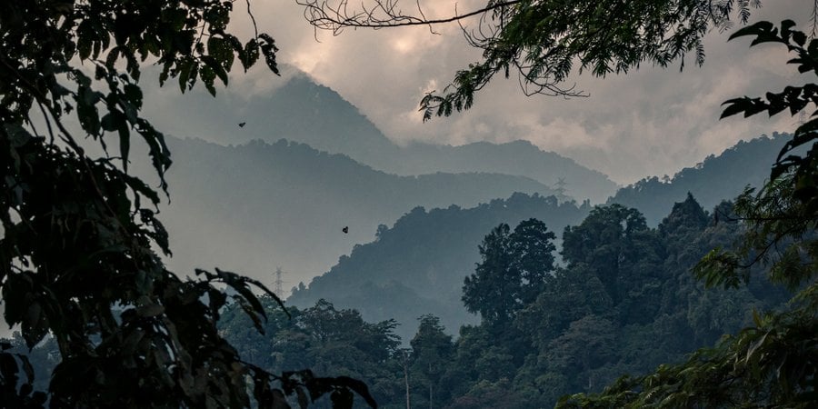 Dense forested mountains are shrouded by clouds