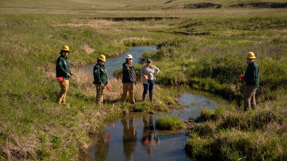 WWF's Leah Thayer shows Montana Conservation Corps members where to build a beaver dam analog.