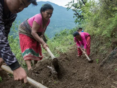 A group of people digging along a mountain slope