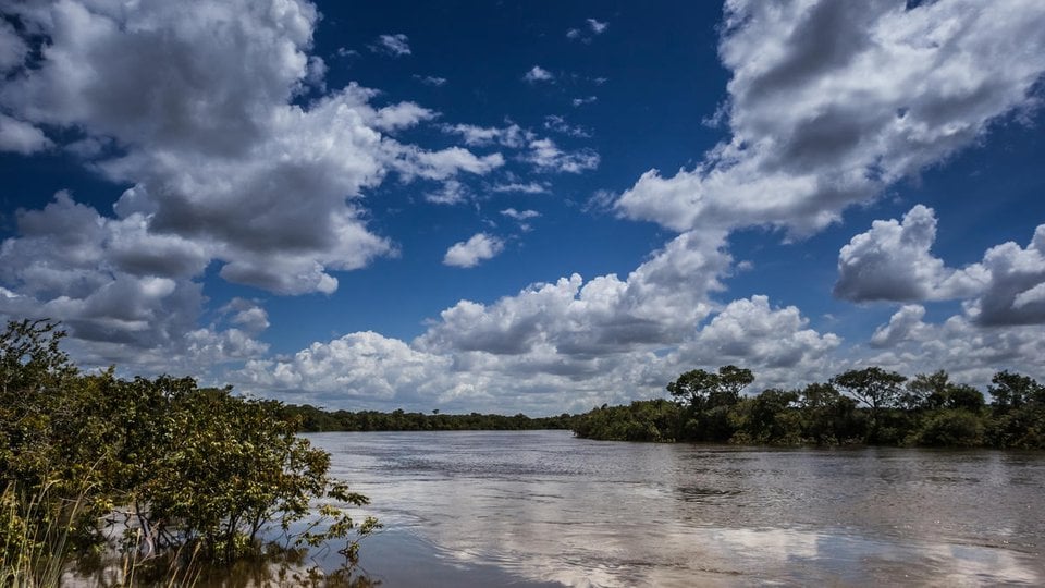 A river bordered by trees under a blue sky