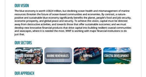 Blue Financial Markets - Finance Sector Transformation | WWF