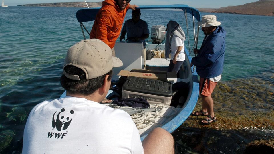 A man in a WWF shirt kneels at the bow of a small, beached boat with others on board
