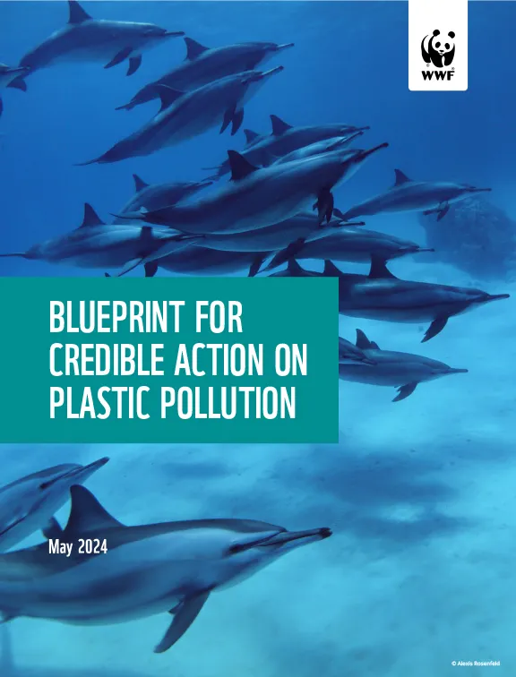 Cover of a report called "Blueprint for Credible Action on Plastic Pollution" with a photo of dolphins behind it.