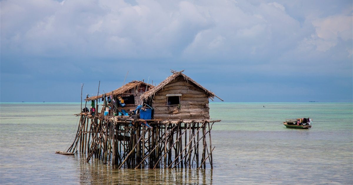 Coastal community heroes | World Wildlife Fund