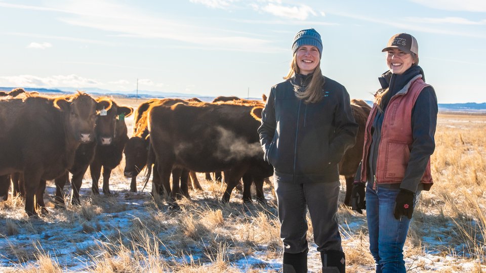 Two women stand on prairie with cattle herd