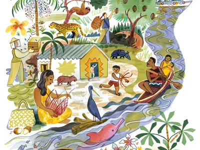 A watercolor collage of the animals, people, and environment of Brazil