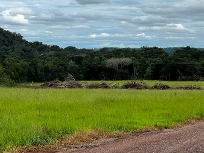 A grass field with a dirt road in the foreground and a forest in the background.