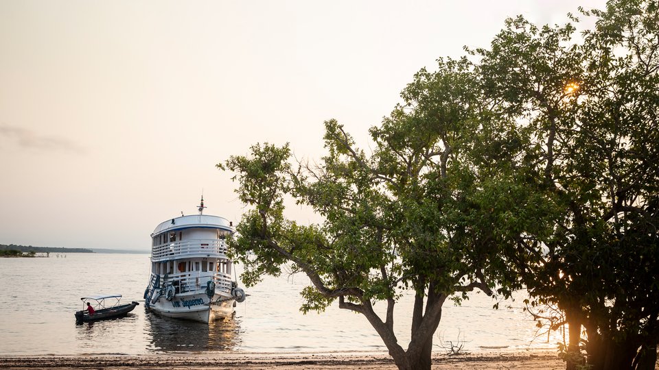 A double decker boat floats by a sandy beach with a few trees
