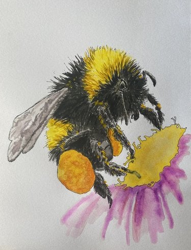 An illustration of a bumblebee on a yellow and pink flower
