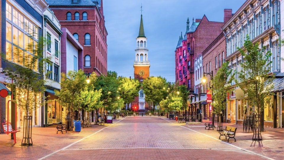 a brick paved street lined with trees and buildings