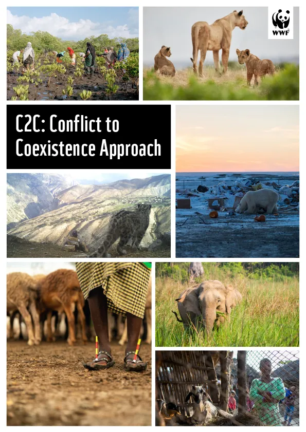 C2C report cover