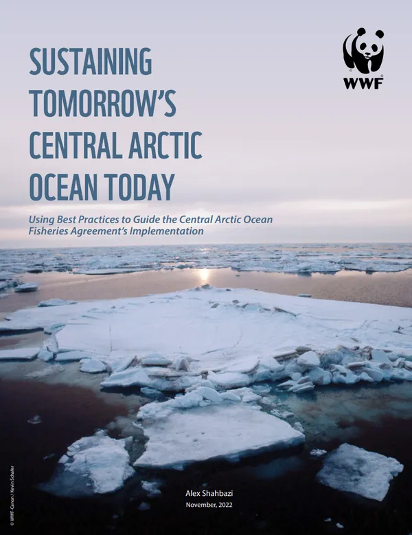 A picture of melting ice in the Arctic along with the title of the report