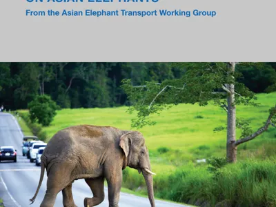 Report cover showing elephants crossing a road