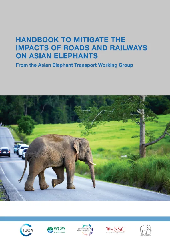 Report cover showing elephants crossing a road