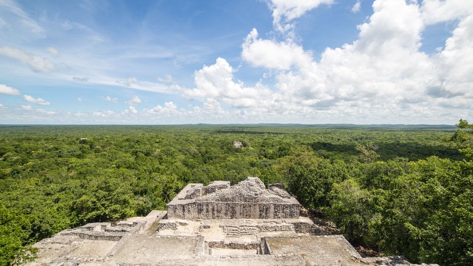 A vast forest viewed atop a gray Mayan ruin in Mexico