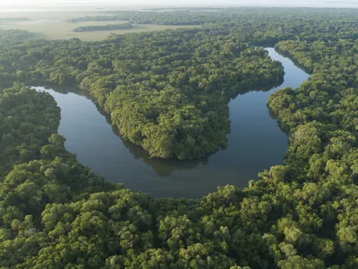 Canal that leads to El Cometa Lagoon, usumacinta River.