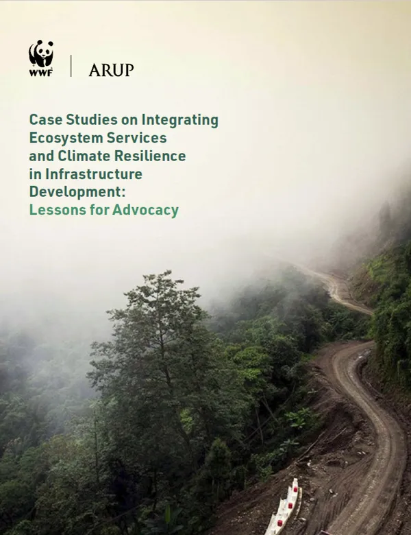 Image of road in forest on cover of Case Studies on Integrating Ecosystem Services and Climate Resilience in Infrastructure: Lessons for Advocacy