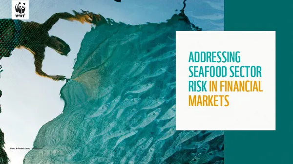 Case for action: Addressing Seafood Sector Risk in Financial Markets cover