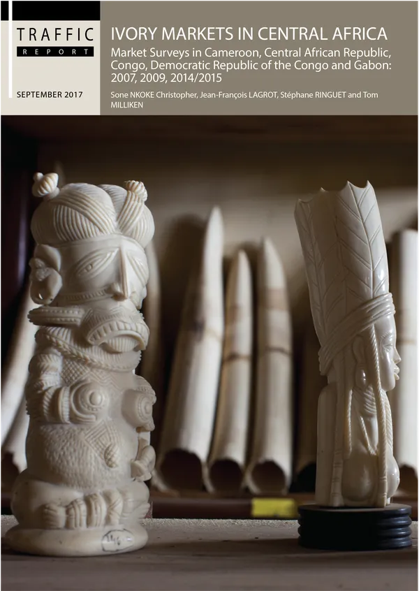 Report cover for Ivory Markets in Central Africa by TRAFFIC featuring image of statures made of carved elephant tusks with severed elephant tusks in background