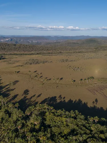An expanse of trees, savanna, and mountains.