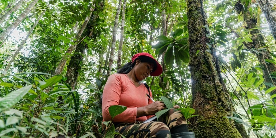 Chela Umire makes notes during a forest assessment
