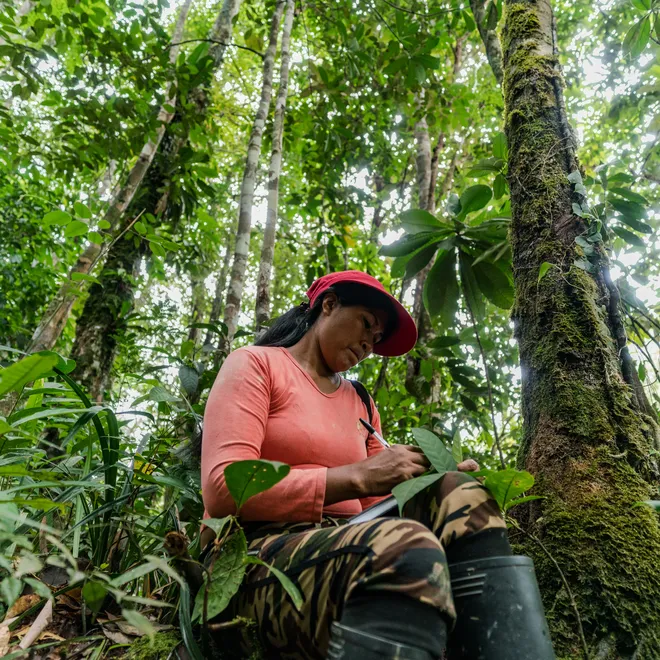 Chela Umire makes notes during a forest assessment