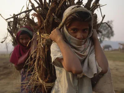 Children gather fuel wood on the road back to their village on the outskirts of Chitwan National Park, Nepal.